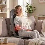3D Swing Back Massage Cushion FR-C21