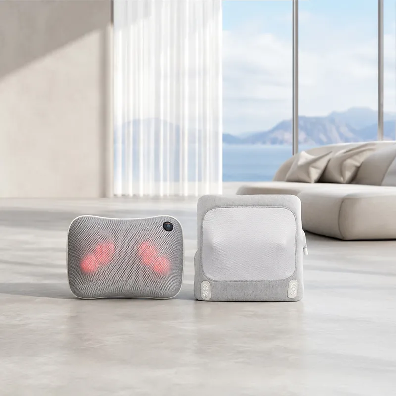 Back & Waist Massager